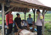 Dekat dengan Petani, Bhabinkamtibmas Mandirancan Sampaikan Pesan Kamtibmas dan Ketahanan Pangan