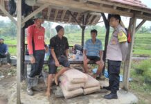 Bhabinkamtibmas Polsek Mandirancan Ajak Petani Tingkatkan Kewaspadaan di Area Persawahan