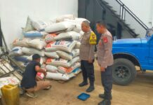 Sinergitas Polsek Cilimus dan Bulog dalam Penyerapan Jagung Hibrida