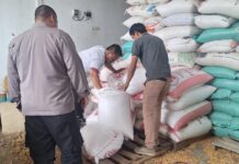 Polsek Ciwaru Dukung Ketahanan Pangan, Lakukan Monitoring Penyerapan Hasil Panen Jagung Pakan
