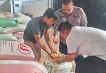 Polsek Ciwaru Dukung Program Ketahanan Pangan, Bersama Bulog Kuningan Laksanakan Penyerapan Jagung Pipil