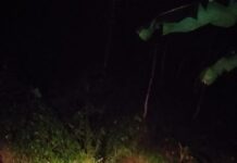 Longsor Tebing Tutup Jalur Utama Subang-Cilebak, Polsek Subang Gerak Cepat Lakukan Evakuasi