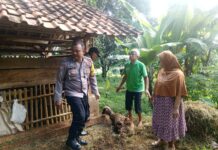 Bhabinkamtibmas Suganangan Sambangi Peternak, Antisipasi Pencurian Kambing Saat Ramadhan 1447 H