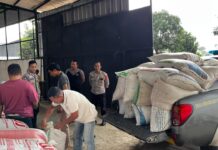 Polsek Luragung Dukung Ketahanan Pangan, Lakukan Monitoring Penyerapan Hasil Panen Jagung