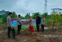 Kapolsek Mandirancan AKP Atang Mulyana Pimpin Penanaman Jagung di Desa Cirea Dukung Ketahanan Pangan