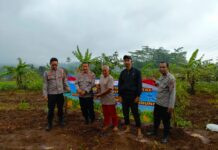 Dukung Ketahanan Pangan, Kapolsek Mandirancan AKP Atang Mulyana Pimpin Penanaman Jagung di Desa Cirea