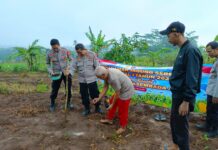 Melalui Penanaman Jagung, Kapolsek Mandirancan AKP Atang Mulyana Perkuat Kedekatan dengan Petani