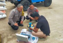Polsek Cilimus Aktif Kawal Program Penyerapan Jagung Hibrida