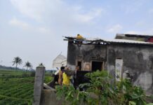 Evakuasi Cepat Pohon Tumbang, Lalu Lintas Cilimus Kembali Lancar