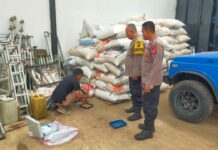 Polsek Cilimus Dorong Penyerapan Jagung Hibrida Demi Ketahanan Pangan