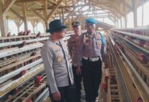 Kapolres Kuningan Tinjau Peternakan Ayam Petelur Milik Personel Polsek Ciwaru