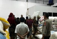 Polsek Luragung Dukung Ketahanan Pangan, Penyerapan Hasil Panen Jagung