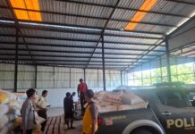 Polsek Luragung Dukung Ketahanan Pangan, Penyerapan Hasil Panen Jagung