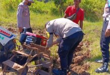 Dukung Ketahanan Pangan, Polsek Ciawigebang dan Kelompok Tani Cibangbara Desa Mekarjaya Olah Lahan Jagung Hibrida
