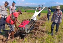 Polsek Ciawigebang Bersinergi dengan Kelompok Tani Cibangbara Desa Mekarjaya Garap Lahan 1 Hektar untuk Jagung Hibrida