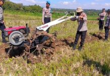 Polri Hadir untuk Ketahanan Pangan, Polsek Ciawigebang Bersama Kelompok Tani Cibangbara Desa Mekarjaya Olah Lahan untuk Tanam Jagung Hibrida