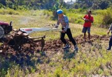 Dukung Ketahanan Pangan, Polsek Ciawigebang dan Kelompok Tani Cibangbara Desa Mekarjaya Garap Lahan Jagung Hibrida