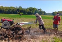 Sinergi Polsek Ciawigebang dan Kelompok Tani Cibangbara Desa Mekarjaya Wujudkan Ketahanan Pangan Nasional