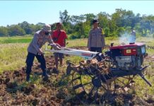 Polsek Ciawigebang Bersama Kelompok Tani Cibangbara Desa Mekarjaya Olah Lahan untuk Penanaman Jagung Hibrida Dukung Ketahanan Pangan