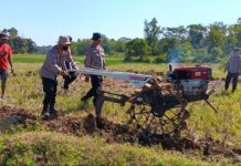 Pengolahan Lahan Jagung Hibrida di Desa Mekarjaya, Polsek Ciawigebang Bersama Kelompok Tani Cibangbara Perkuat Ketahanan Pangan