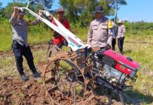 Bersama Kelompok Tani Cibangbara Desa Mekarjaya, Polsek Ciawigebang Optimalkan Lahan Pertanian untuk Jagung Hibrida