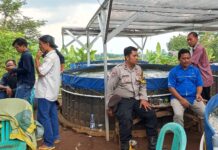 Sinergitas Tanpa Sekat di Kolam Terpal, Bhabinkamtibmas Polsek Mandirancan Gandeng Karang Taruna Tunas Bangsa