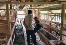 Lebih Dekat dengan Masyarakat, Bhabinkamtibmas Polsek Mandirancan Menyerap Aspirasi Warga dari Balik Kandang Kambing