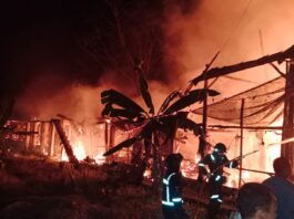Kandang Ayam di Cigandamekar Hangus Terbakar, Kerugian Capai Rp460 Juta