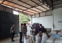 Polsek Ciawigebang Kawal Penjualan Jagung Hibrida Petani Desa Ciawigebang ke Bulog, Dukung Program Ketahanan Pangan Nasional