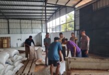 Polsek Ciawigebang Beri Pengawalan Penjualan Hasil Panen Jagung Hibrida Petani Desa Ciawigebang ke Bulog