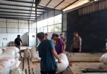 Sinergi Polri dan Petani, Polsek Ciawigebang Kawal Distribusi Jagung Hibrida Petani Desa Ciawigebang ke Bulog