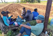 Pererat Kemitraan dengan Masyarakat, Bhabinkamtibmas Polsek Pancalang Brigadir Dendi Laksanakan Sambang Warga di Desa Danalampah dan Sampaikan Pesan Kamtibmas demi Terwujudnya Lingkungan yang Aman dan Kondusif
