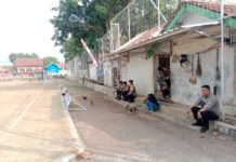 Jaga Kamtibmas Tetap Kondusif, Polsek Ciawigebang Kawal Jalannya Turnamen Bupati Cup 2026 di Desa Ciawilor