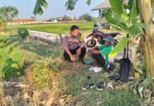 Bhabinkamtibmas Sambangi Petani Desa Kapandayan, Dukung Ketahanan Pangan