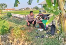 Dukung Ketahanan Pangan, Bhabinkamtibmas Sambangi Petani Desa Kapandayan di Sawah