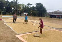 Bhabinkamtibmas Desa Mekarsari Sambangi Petani Binaan, Dukung Ketahanan Pangan
