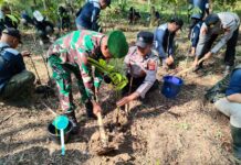 TANAM POHON DI BUKIT LAMBOSIR, POLRI DUKUNG PEMULIHAN EKOSISTEM TAMAN NASIONAL GUNUNG CIREMAI