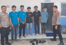 Bhabinkamtibmas Polsek Cidahu Laksanakan Patroli Sambang di Desa Wanasaraya