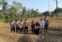 Menghijaukan Lahan Kering, Plt. Kapolsek Mandirancan Iptu Arip Rahmansyah Pelopori Penanaman Jagung Hibrida di Desa Cirea
