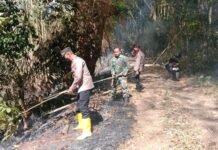 Kapolsek Kadugede Iptu Wiyogi, S.E. secara langsung memimpin anggotanya berkolaborasi dengan masyarakat setempat untuk memadamkan kebakaran lahan di Blok Cilodong, Desa Kadugede, Kecamatan Kadugede, Kabupaten Kuningan