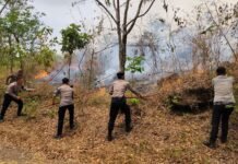 Respon Cepat Karhutla, Sat Samapta Polres Kuningan Terjunkan Personel Padamkan Kebakaran Lahan di BTNGC Pasawahan