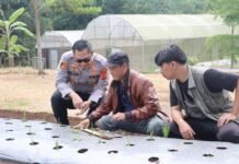 Dukung Program Ketahanan Pangan Nasional, Kapolres Kuningan Cek Langsung Budidaya Bawang Putih di Rumah Tani Nusantara Darma