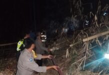 Polisi dan Warga Bersinergi Evakuasi Karhutla di Wilayah Cilimus