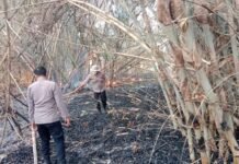 Peduli Masyarakat, Kapolsek Ciawigebang Bersama Anggota Bantu Padamkan Api di Desa Kadurama