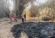 Polri Hadir Bersama Masyarakat, Kapolsek Ciawigebang Bantu Tangani Kebakaran Lahan di Desa Kadurama