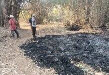 Respons Kebakaran Lahan, Kapolsek Ciawigebang Turun Langsung ke Desa Kadurama