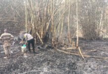 Wujud Kepedulian Polri, Kapolsek Ciawigebang Bantu Pemadaman Lahan Terbakar di Desa Kadurama