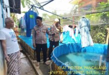 Kapolsek Pancalang Hakim Bersama Anggota Sambangi Pembudidaya Ikan Lele di Desa Tajurbuntu, Pererat Silaturahmi dan Ajak Masyarakat Bersama-Sama Menjaga Harkamtibmas