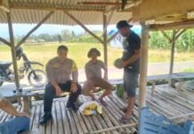 Bhabinkamtibmas Desa Kapandayan Jalin Silaturahmi Kamtibmas dengan Petani Binaan