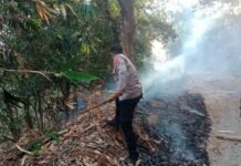 Gerak Cepat, Polsek Ciawigebang Padamkan Kebakaran Lahan di Desa Suganangan